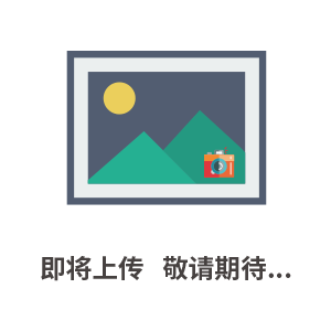 气动隔膜泵